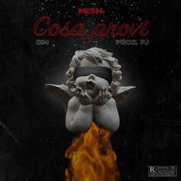 Album cover of Cosa Provi (feat. Mish)