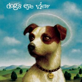 Eye cover 2024 for dogs