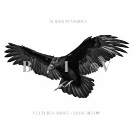 Album cover of Vultures Above, Lions Below