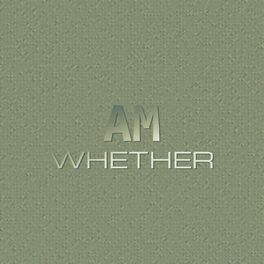 Album cover of Am Whether
