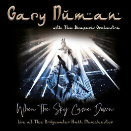 Album cover of When the Sky Came Down (Live at The Bridgewater Hall, Manchester)