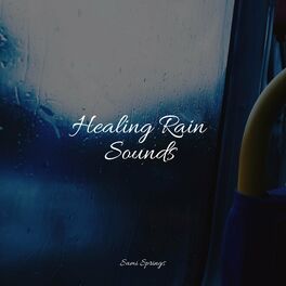 Album cover of Healing Rain Sounds