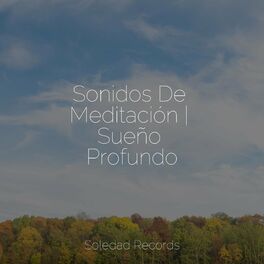 Album cover of Sonidos De Meditación | Sueño Profundo