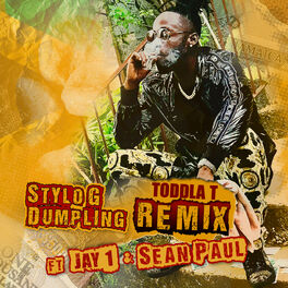 Album cover of Dumpling (Toddla T Remix)