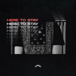Album cover of HERE TO STAY