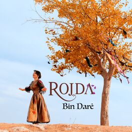 Album cover of Bin Darê