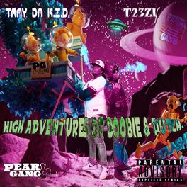Album cover of THE HIGH ADVENTURES OF DOOBIE & DUTCH