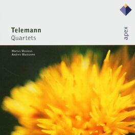 Album cover of Apex: Telemann Quartets / Hortus Musicus