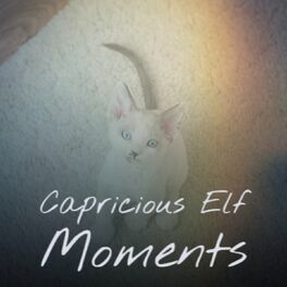 Album cover of Capricious Elf Moments