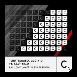 Album cover of Lay Low (Matt Sassari Remix)