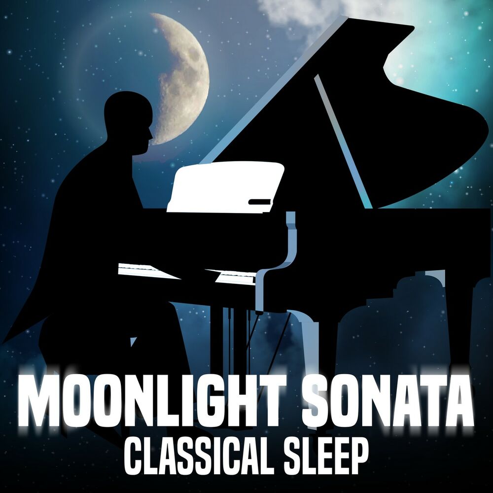 Moonlight sonata. Мунлайт Соната. Moonlight Sonata фото. Moonlight Sonata погружение. Album Art Moonlight Sonata.