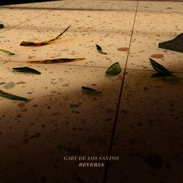 Album cover of Reversa