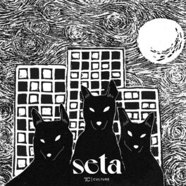 Album cover of Seta