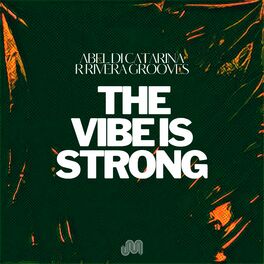 Album cover of The Vibe is Strong