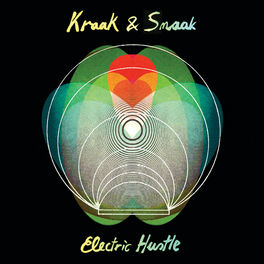 Album cover of Electric Hustle