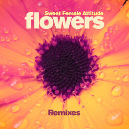 Album cover of Flowers (Remixes)