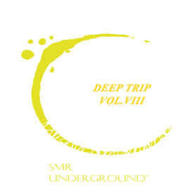 Album cover of Deep House Trip Vol.VIII