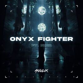 Album cover of ONYX FIGHTER