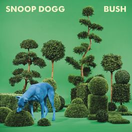 Album cover of BUSH