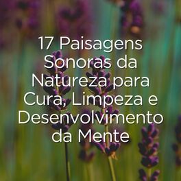Album cover of 17 Paisagens Sonoras da Natureza para Cura, Limpeza e Desenvolvimento da Mente