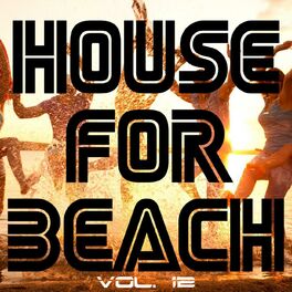 Album cover of House For Beach, Vol. 12