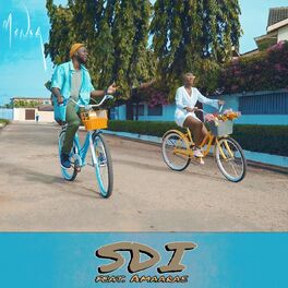 Album cover of S.D.I