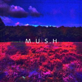 Album cover of M.U.S.H