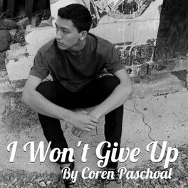 Album cover of I Wont Give Up