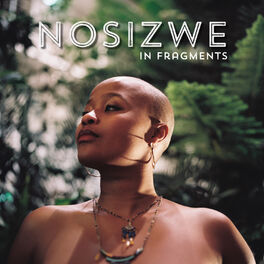Album cover of In Fragments