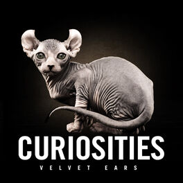 Album cover of Velvet Ears: Curiosities