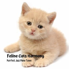 Album cover of Feline Cats Harmony: Purrfect Jazz Piano Tunes