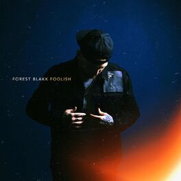 Album cover of Foolish