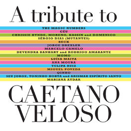 Album cover of A Tribute To Caetano Veloso