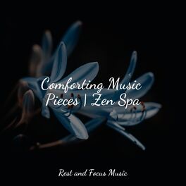 Album cover of Comforting Music Pieces | Zen Spa