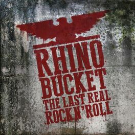 Album cover of The Last Real Rock N' Roll