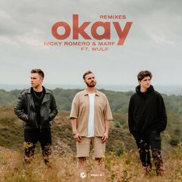 Album cover of Okay (Remixes)