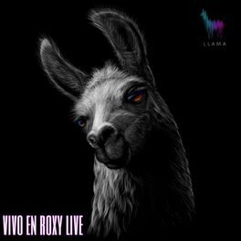 Llama The Llama Song lyrics and songs Deezer