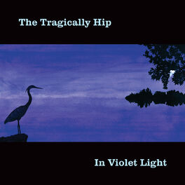 Album cover of In Violet Light