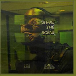 Album cover of Shake The Scene