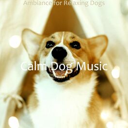 Album cover of Ambiance for Relaxing Dogs