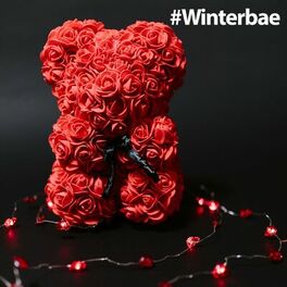 Album cover of #Winterbae