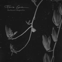 Album cover of Backyard Magnolia