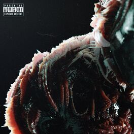 Album cover of WHATS UP?