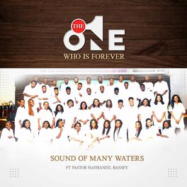 Album cover of The One Who Is Forever (feat. Nathaniel Bassey)