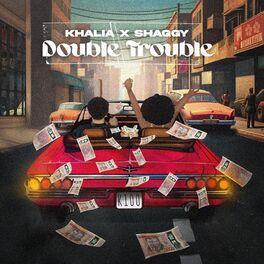 Album cover of Double Trouble
