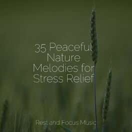 Album cover of 35 Peaceful Nature Melodies for Stress Relief