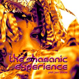 Album cover of The Shamanic Experience