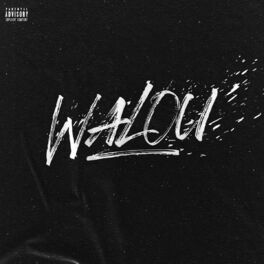 Album cover of Walou