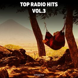 Album cover of Top Radio Hits Vol. 3