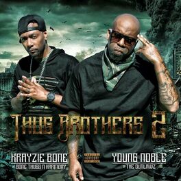 Album cover of Thug Brothers 2